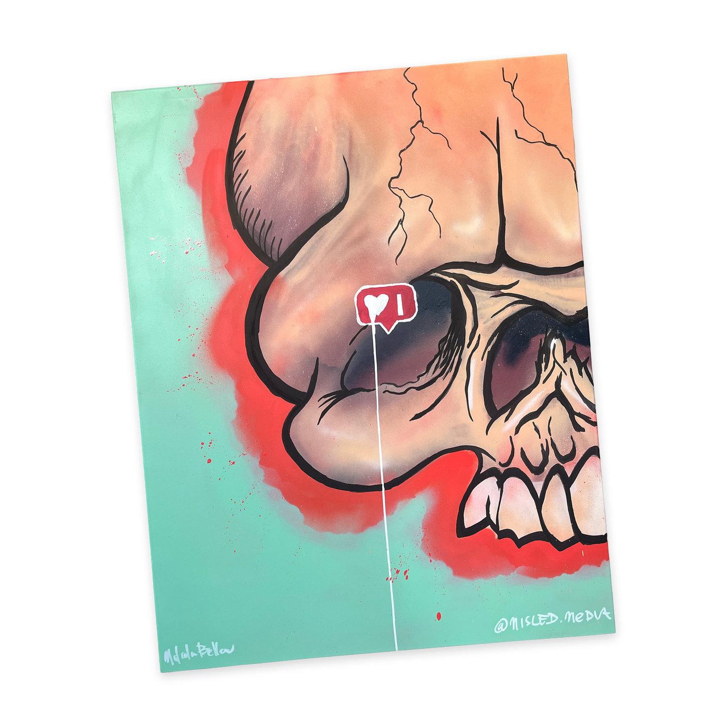 Instascams (30"x40" canvas)