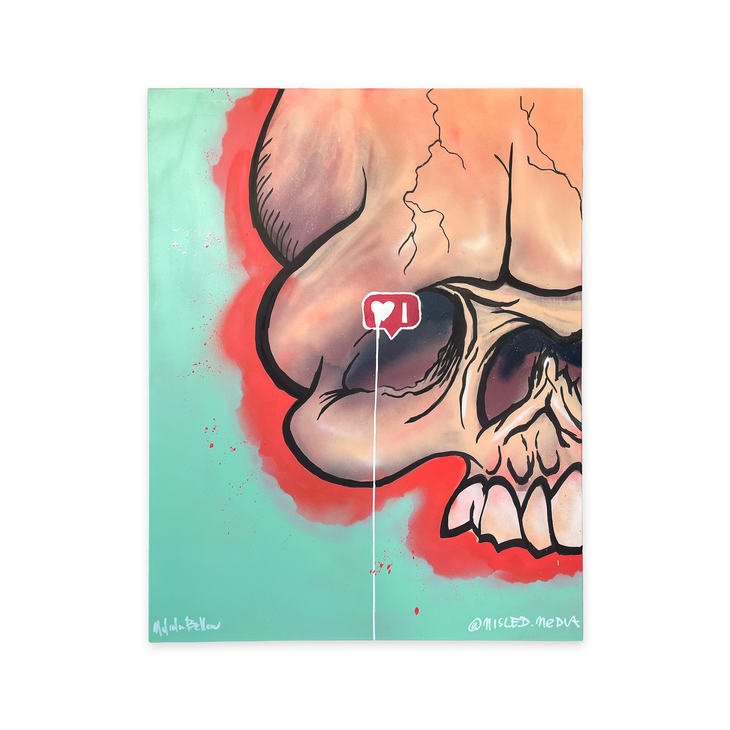 Instascams (30"x40" canvas)